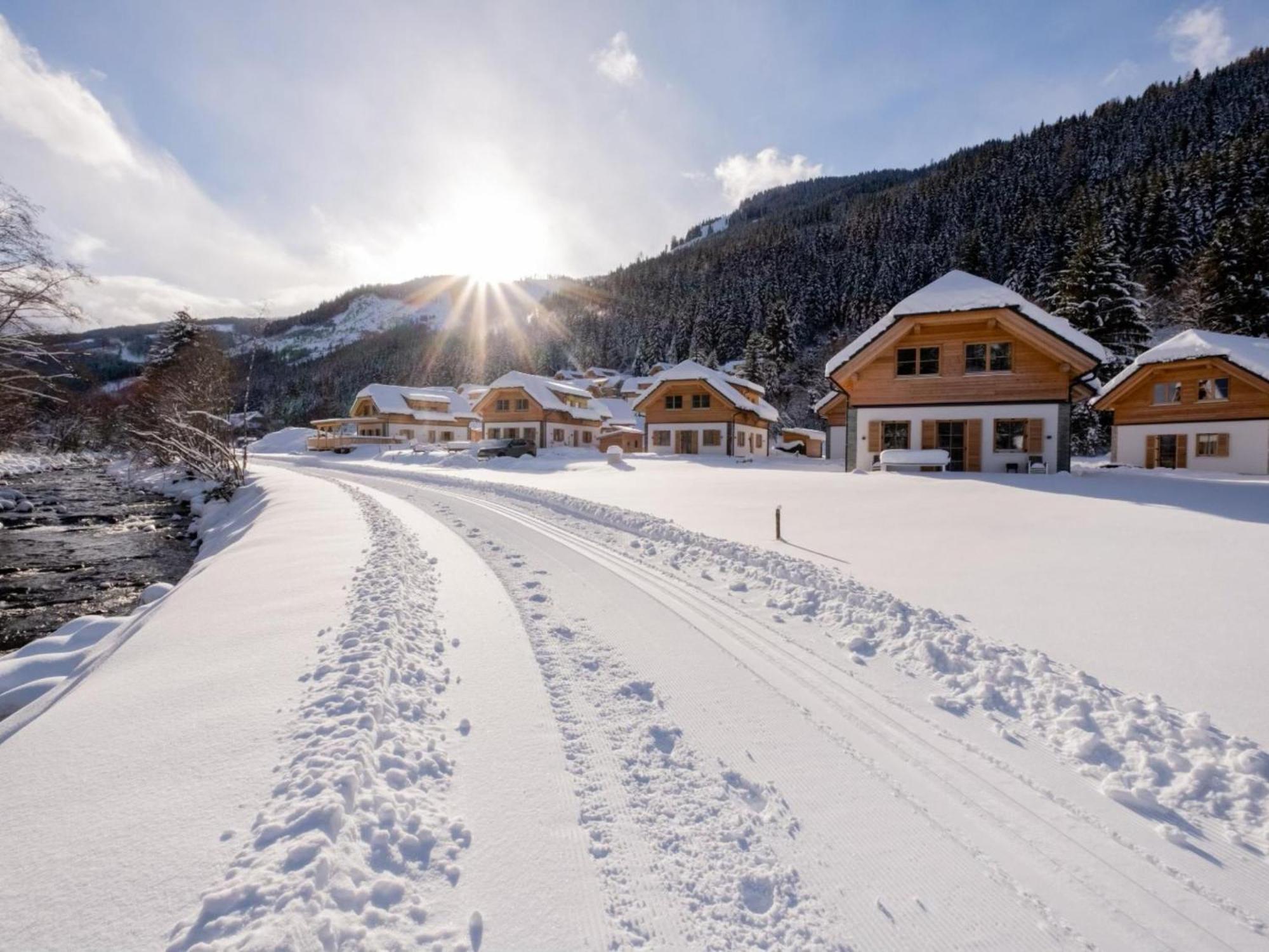 Chalet Thor Donnersbachwald Dış mekan fotoğraf